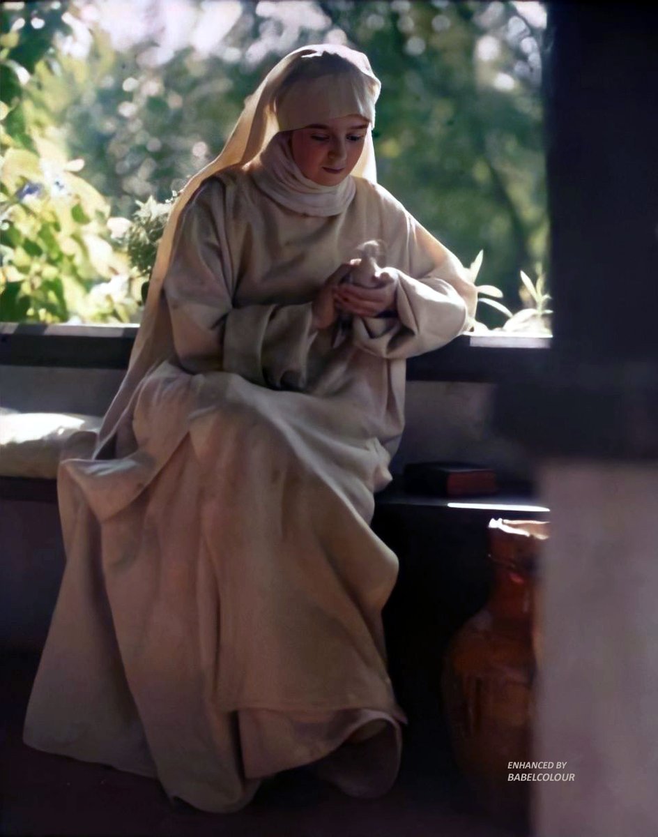 BabelColour tweet media