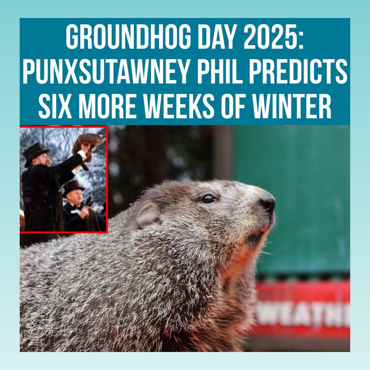 ChristineBoldt's tweet image. Whether you were watching Punxsutawney Phil or General Beauregard Lee, looks like we&apos;ve got six more weeks of winter! 🐾✨ 🥶   Both little guys saw their shadow!  🤔🌤 👤👤

#GroundhogDay2025  #GroundhogShadow #WinterOrSpring #SeasonalVibes #nationalday #realtorsofinstagram