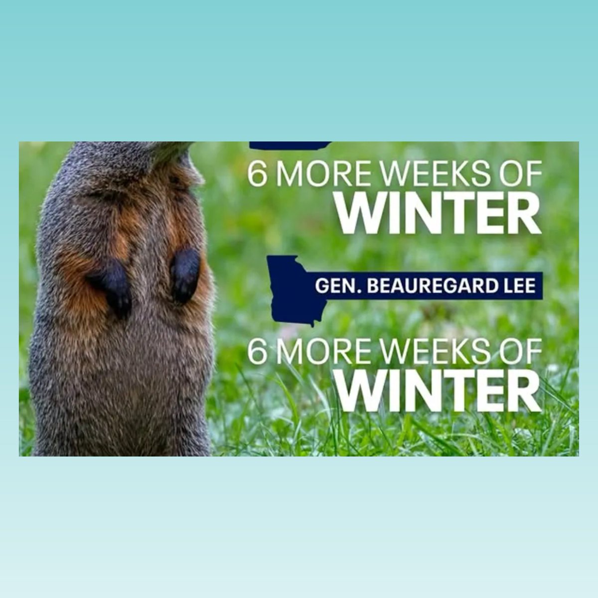 ChristineBoldt's tweet image. Whether you were watching Punxsutawney Phil or General Beauregard Lee, looks like we&apos;ve got six more weeks of winter! 🐾✨ 🥶   Both little guys saw their shadow!  🤔🌤 👤👤

#GroundhogDay2025  #GroundhogShadow #WinterOrSpring #SeasonalVibes #nationalday #realtorsofinstagram