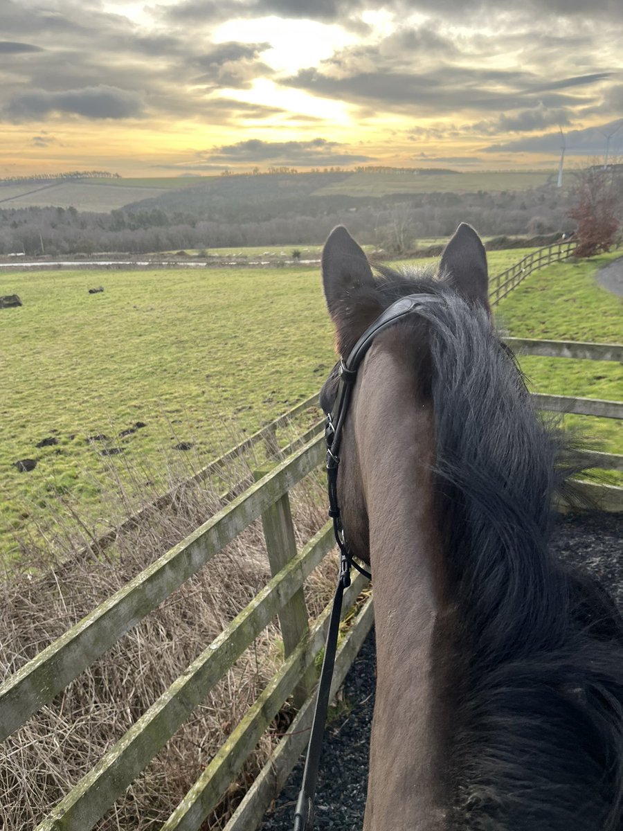 Lesley Wheatley tweet media