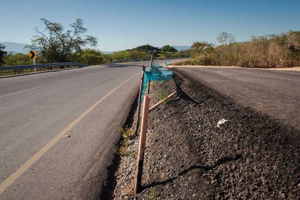 AlexThomas169's tweet photo. Las plantas Adelfas sembradas en las autopistas en España minimizan accidentes ya que  obstaculizan la luz contraria y fuertes vientos. Invías y veedores: Tener en cuenta las Trinitarias en nuestra región. Son esenciales en prevención de accidentes en la nueva via La Paz-Va/par! https://t.co/RVuHVm93Rv