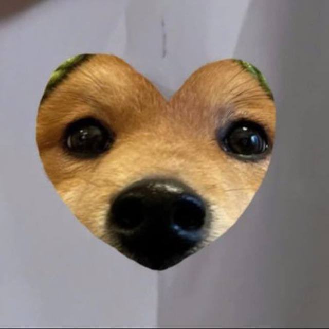 Dooms_Sol's tweet image. It’s okay I still wuff you💕

Ca: 6swV1g4Cy5zrGHR8kD2TVB749TeadoGLFhwJkpXopump