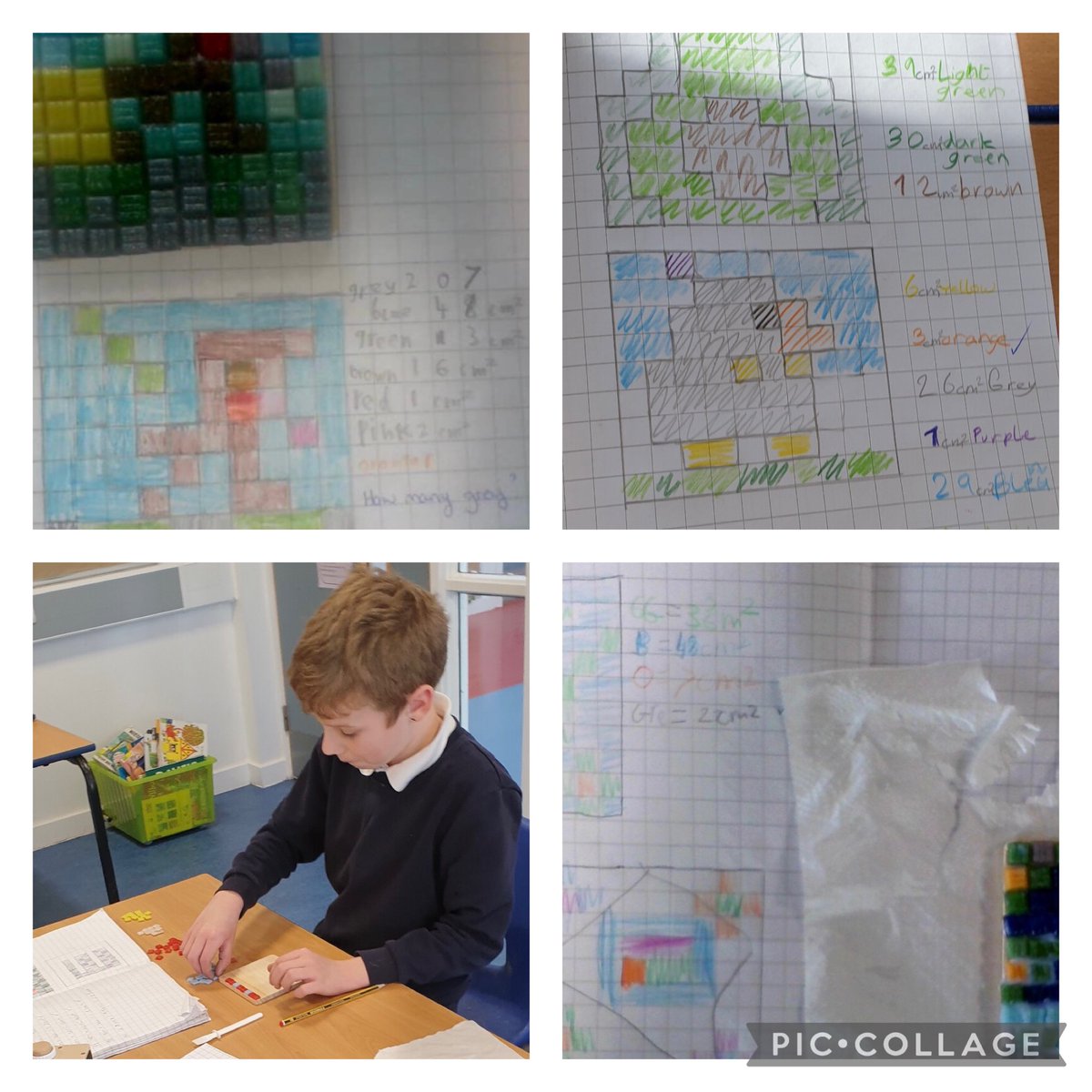 Gorebridge Primary tweet media