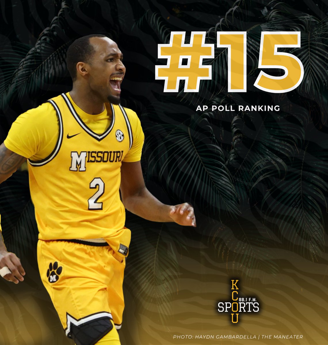 KCOUSports's tweet photo. Mizzou Basketball enters the top 15 in the AP Poll following Saturday's blowout win over Mississippi State! https://t.co/q09vMLhfDp