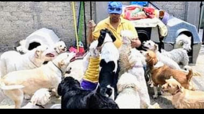 Me dijeron...
Que mi casa
Huele a perro..
Y yo les pregunté...
Saben a que huele un perro?...

Un perro huele a :

Agradecimiento...
Fidelidad...
nobleza...
cariño...
Amor puro e incondicional....

y a pesar
de todo lo que han sufrido
no huelen a rencor...

Me siento afortunado