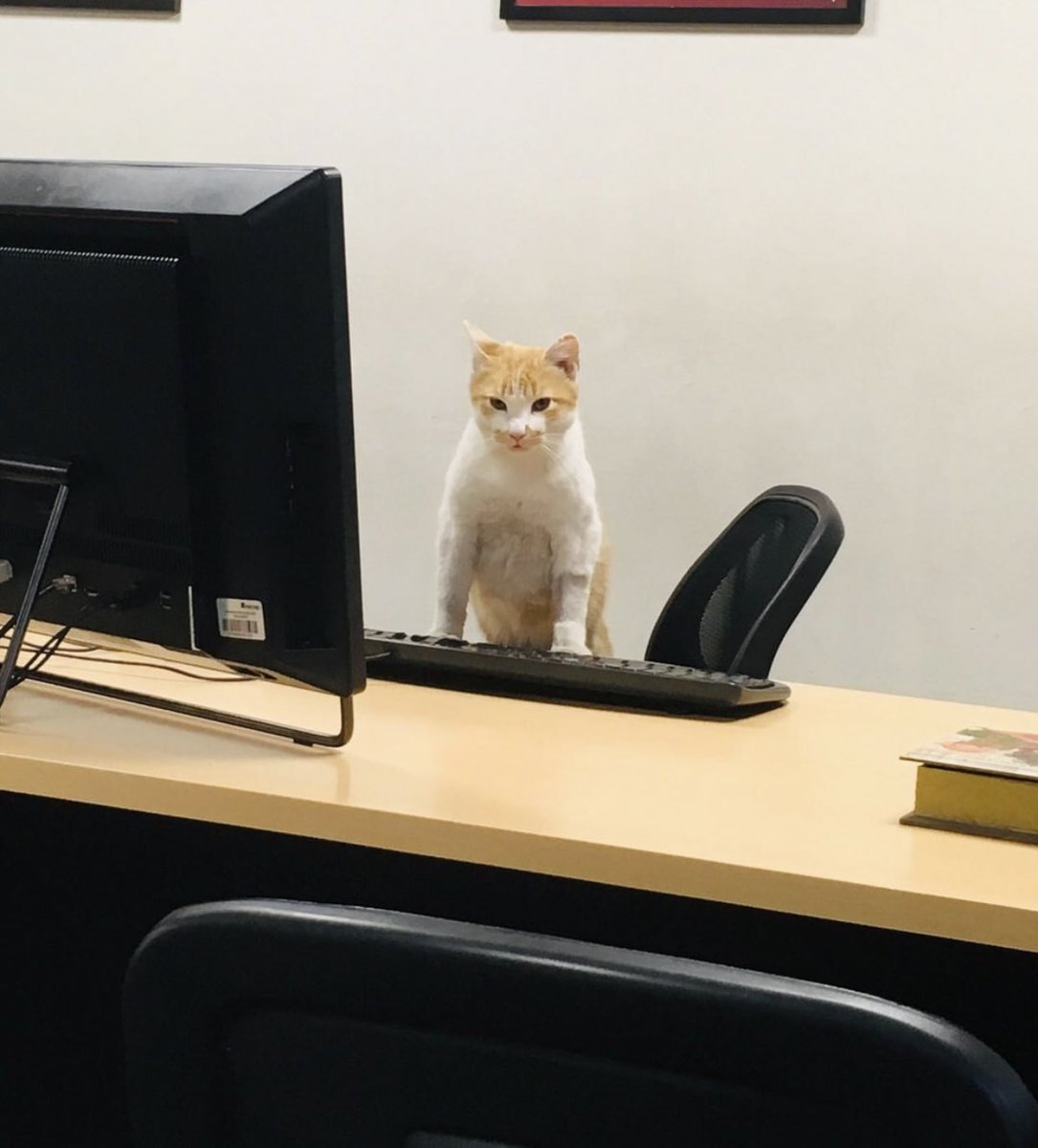 HORROR PRESS tweet media