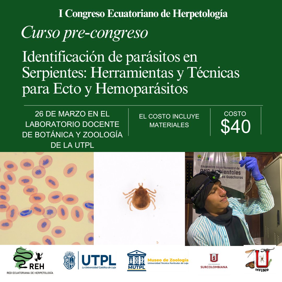 📢 ¡Atención, herpetólogos y amantes de la biodiversidad! 🐍🐸
 
 En el I Congreso Ecuatoriano de Herpetología ofrecemos cursos especializados para profundizar en el conocimiento de anfibios y reptiles.