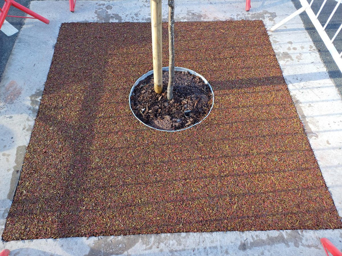 thanecsltd's tweet photo. Some of the nice tree bases surfaced today in Asda, Coryton. All done with 'Autumn' Tiger mulch.  Great working with Ryan Landscapes again. https://t.co/bkkV4Chaan