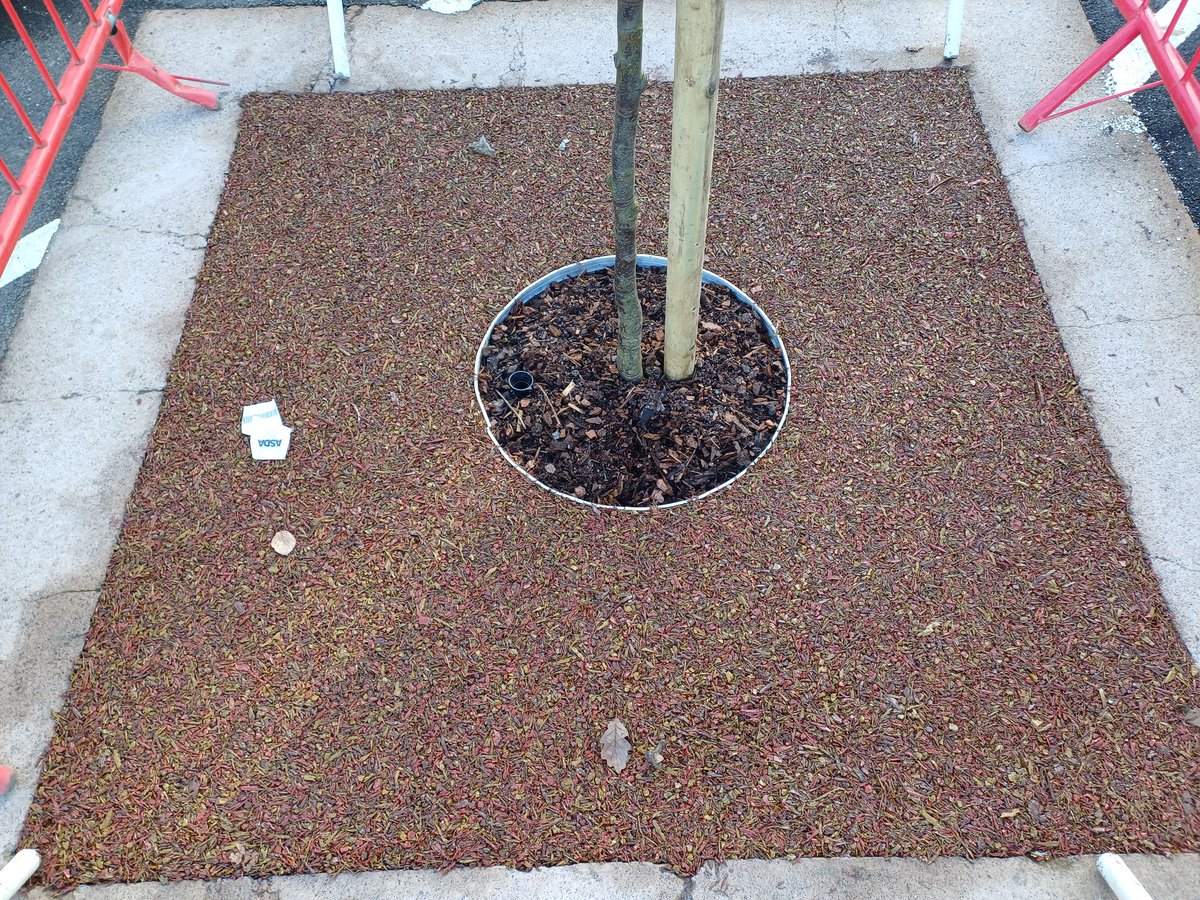 thanecsltd's tweet photo. Some of the nice tree bases surfaced today in Asda, Coryton. All done with 'Autumn' Tiger mulch.  Great working with Ryan Landscapes again. https://t.co/bkkV4Chaan