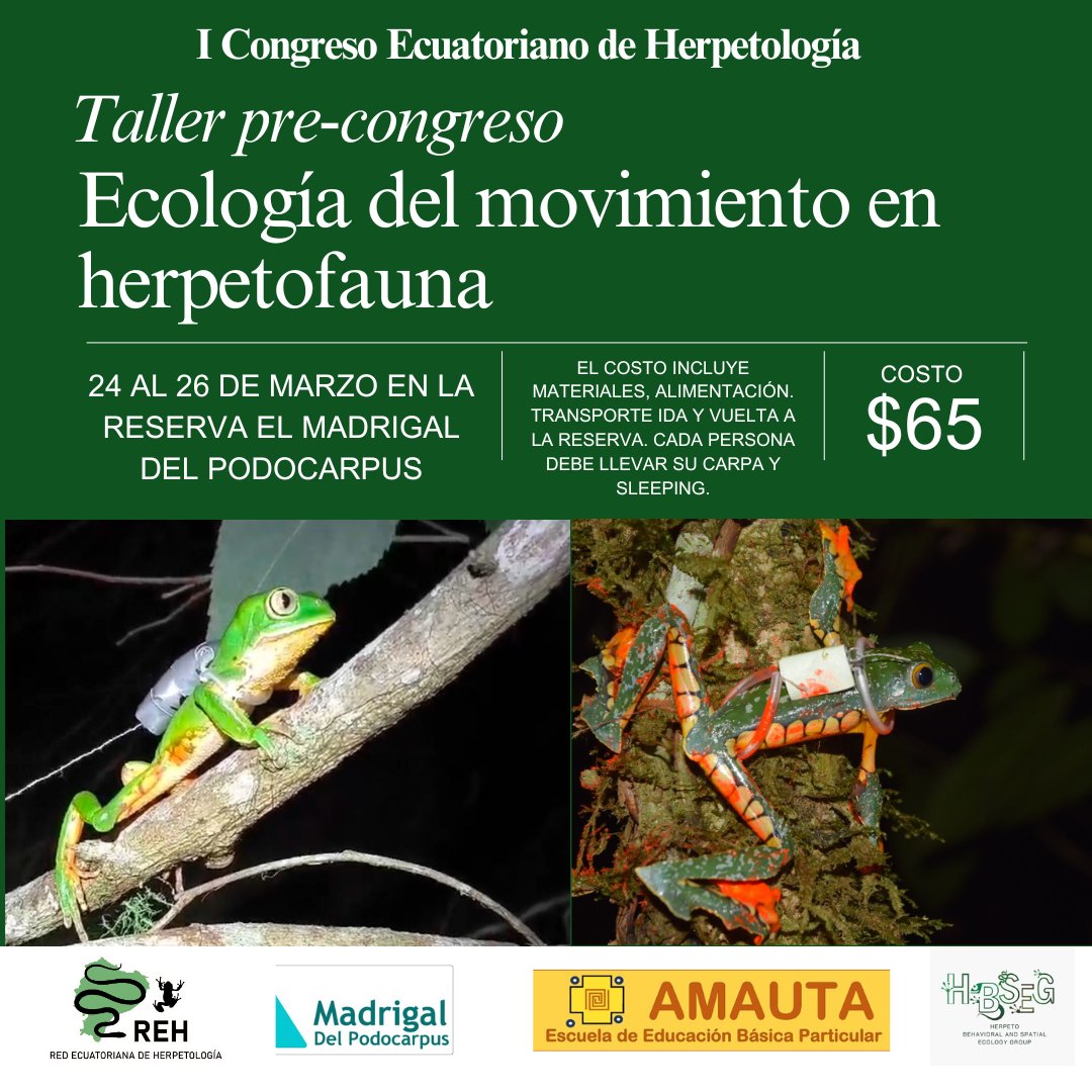 📢 ¡Atención, herpetólogos y amantes de la biodiversidad! 🐍🐸
 
 En el I Congreso Ecuatoriano de Herpetología ofrecemos cursos especializados para profundizar en el conocimiento de anfibios y reptiles.