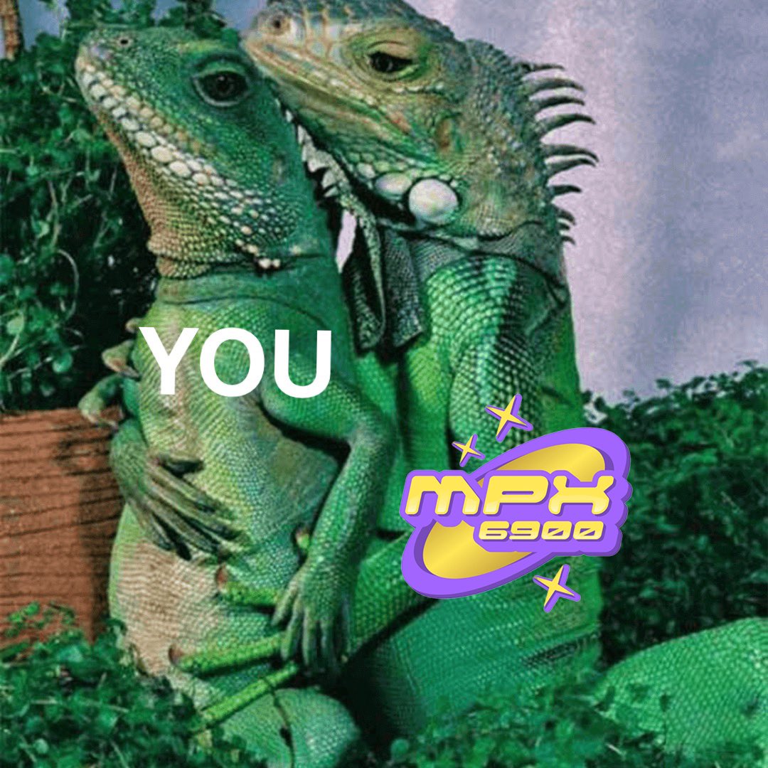<a href="/MoonOverlord/">moon</a> They really need to just invest in a memecoin index 

Like #Mpx6900 for example, first memecoin index in history dropping today 

39Mzpdw7NDGiXmZZGWiCdR6Nzoc7muWuYkPsVDV4pump