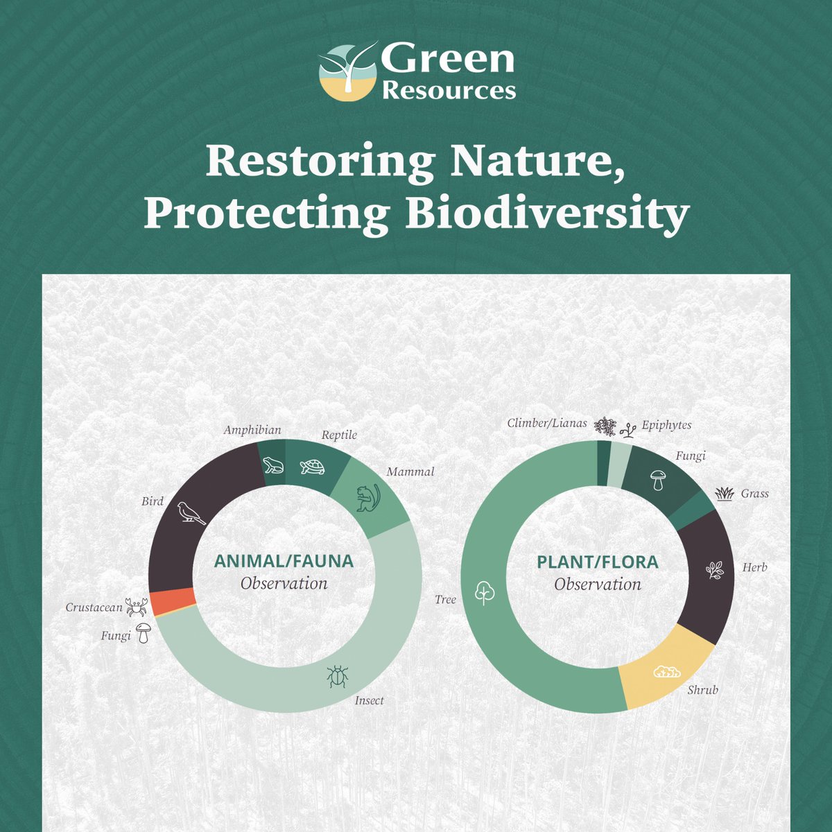 At GRAS, biodiversity conservation is at the heart of our operations. Through Orbify’s cutting-edge technology, we map species distribution, track vegetation changes, and monitor aboveground biomass. 🌳 Over the past three years, degraded shrublands have been transforming into