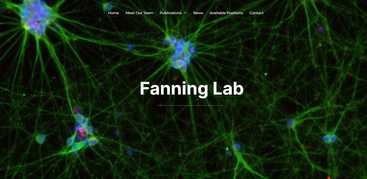 Dr. Saranna Fanning, Ph.D. (@sarannafanning) on Twitter photo Are you interested in contributing to research on neurodegenerative diseases & metabolism? The Fanning lab is interested in hearing from scientists interested in Postdoc, Research Scientist &Technician positions. fanninglab.bwh.harvard.edu
<a href="/BWHNeurology/">Brigham and Women's Neurology</a> <a href="/BrighamResearch/">Brigham and Women’s Research</a> <a href="/harvardmed/">Harvard Medical School</a> Are you interested in contributing to research on neurodegenerative diseases & metabolism? The Fanning lab is interested in hearing from scientists interested in Postdoc, Research Scientist &Technician positions. fanninglab.bwh.harvard.edu
<a href="/BWHNeurology/">Brigham and Women's Neurology</a> <a href="/BrighamResearch/">Brigham and Women’s Research</a> <a href="/harvardmed/">Harvard Medical School</a>