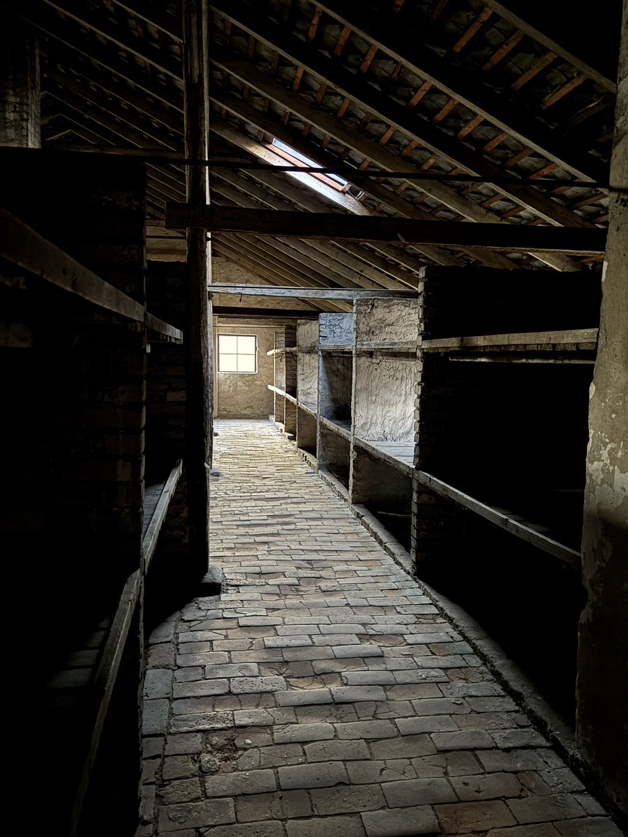 PolEdu - Politics & Education tweet media