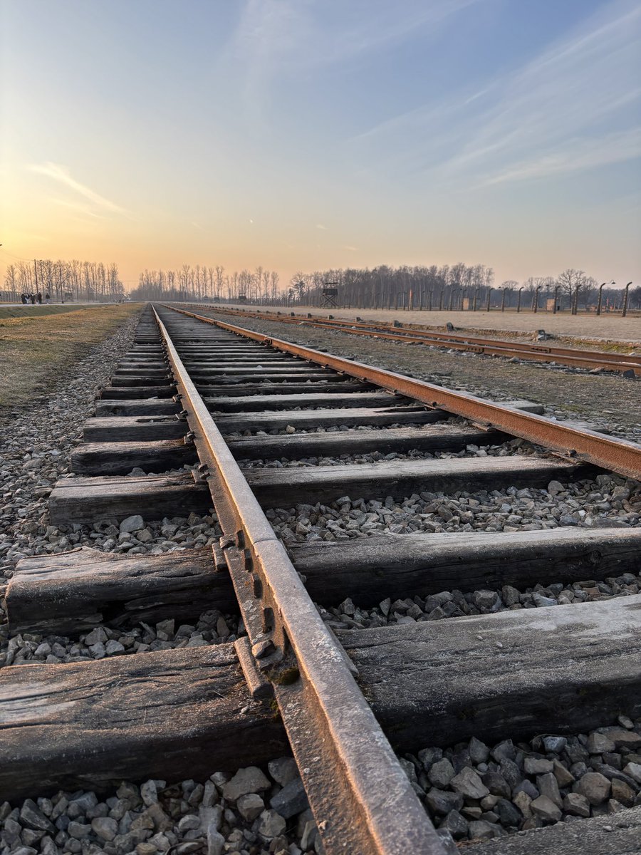 PolEdu - Politics & Education tweet media