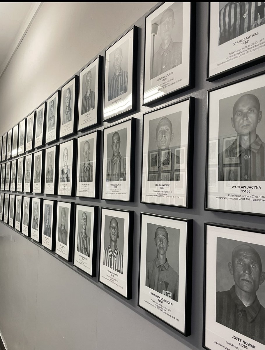 PolEdu - Politics & Education tweet media