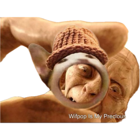 Wifpop tweet media