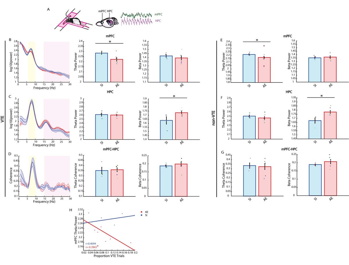 SfN Journals tweet media
