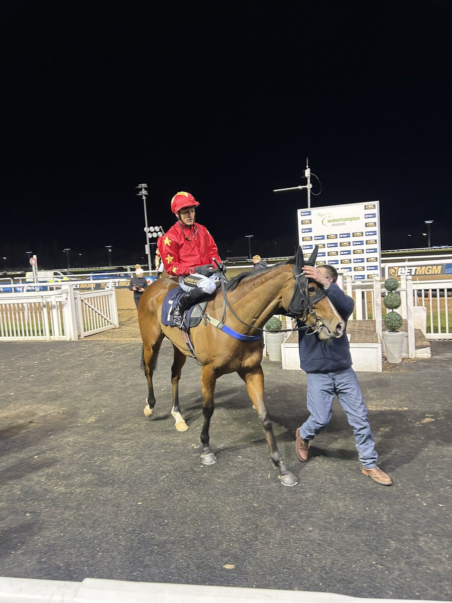 Crazyg07231486's tweet image. Rosenpur @WolvesRaces 🥇🐎