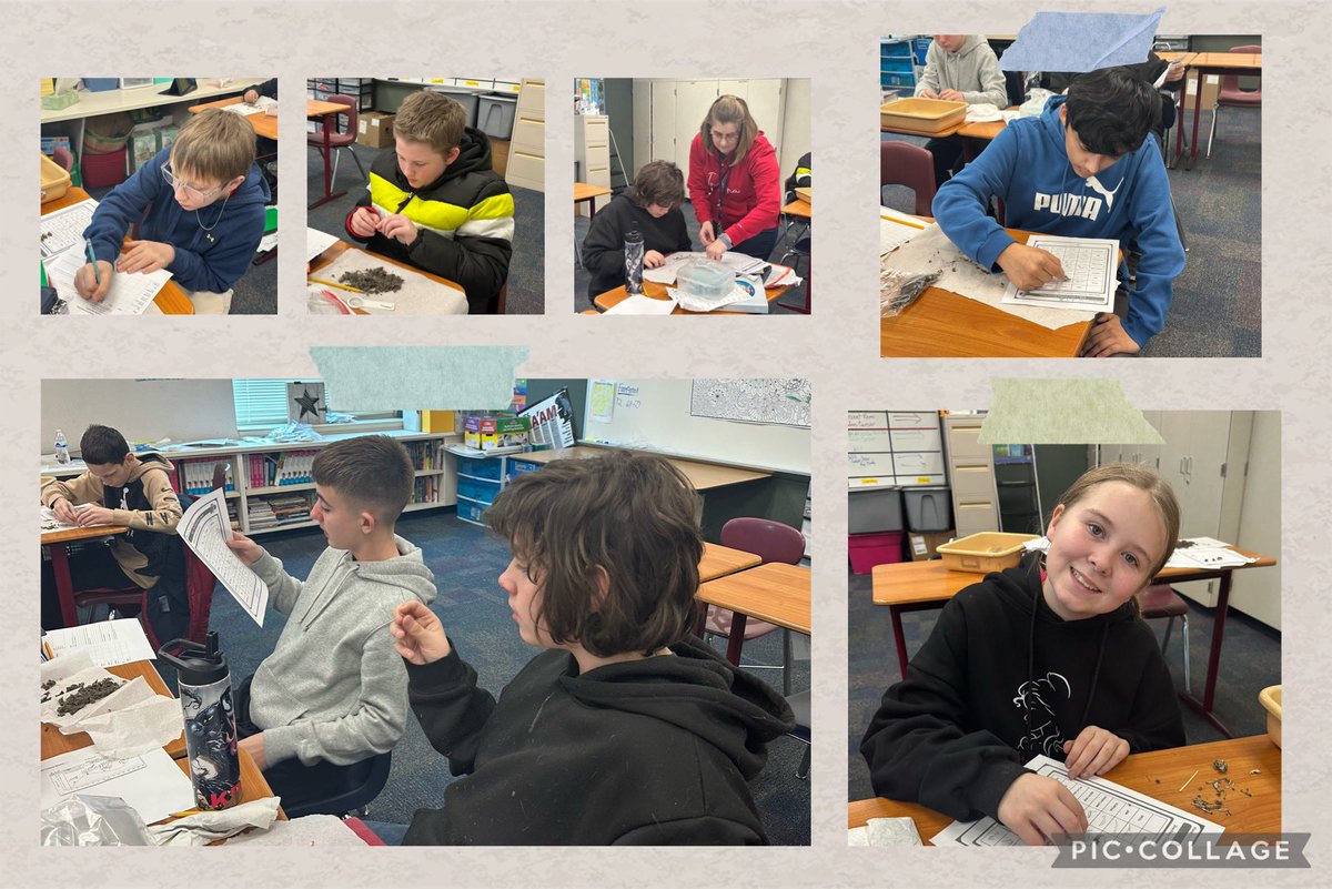 MSD Decatur tweet media