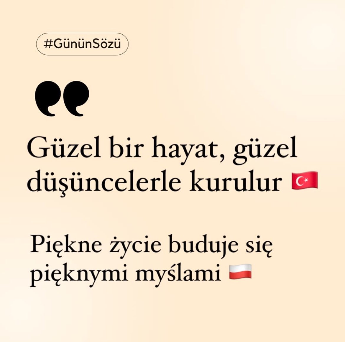 #edebiyat #sebiyelda #turkedebiyat