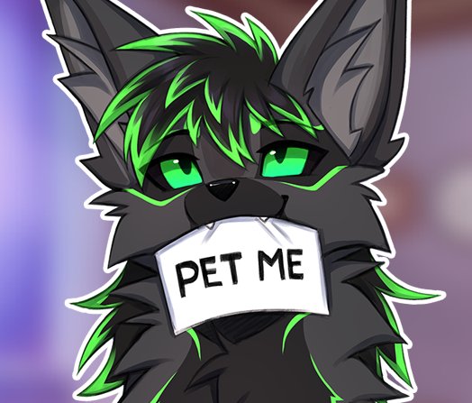 headpats plz :3