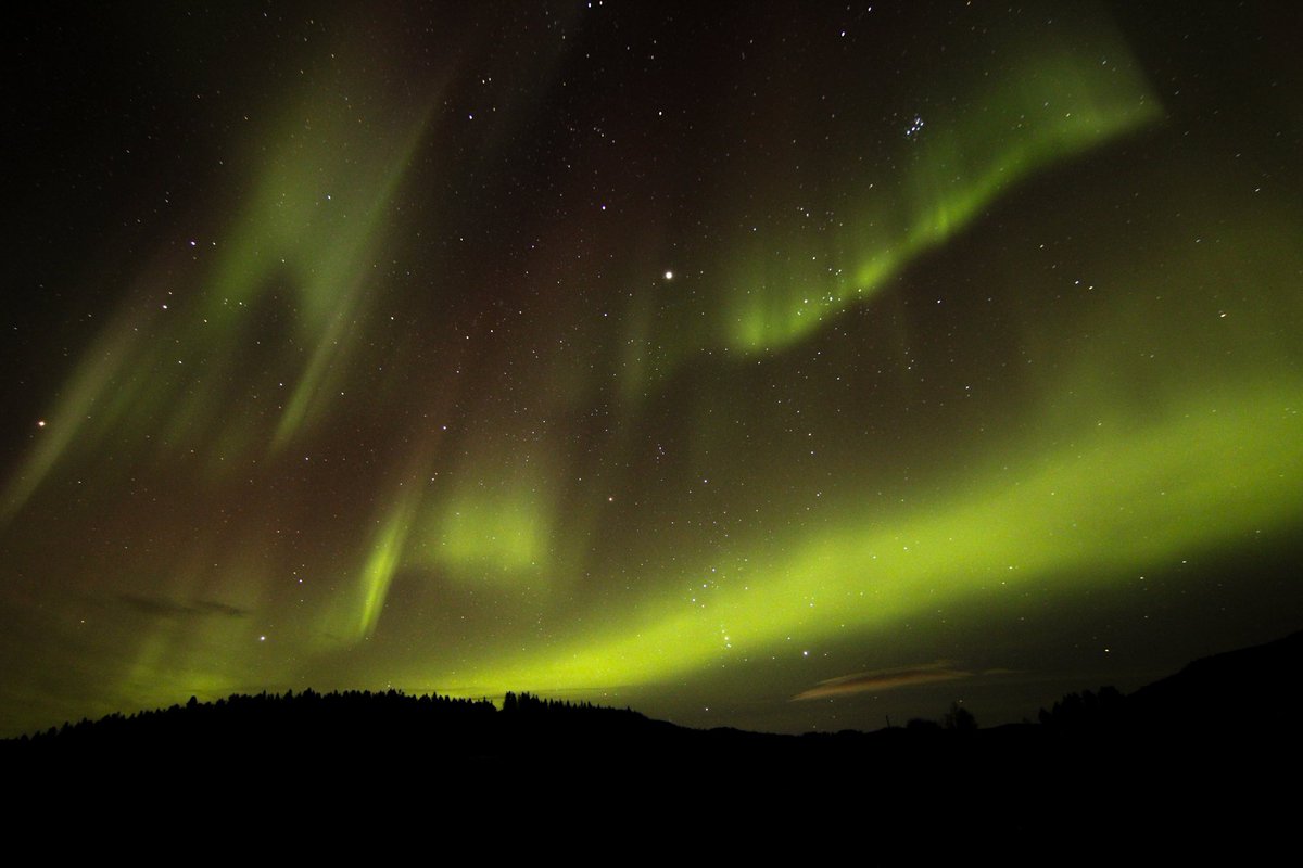 Aurores boréales en Norvège en Novembre 2024 
instagram.com/paysage_et_nat…

#Aurora #Norge #norvegian #sky #borealis #nothernlights #travel #norvegevoyage