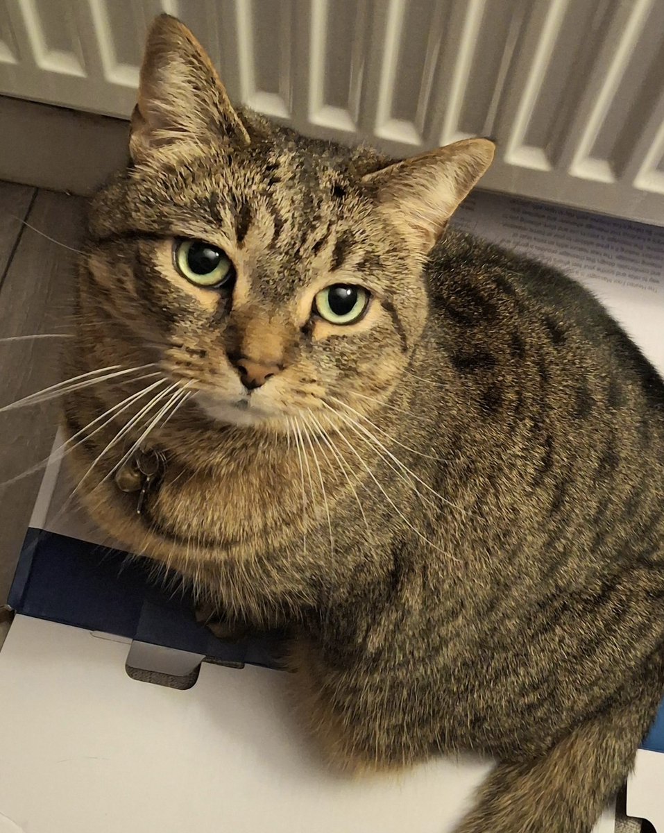 Chiltern CP tweet media