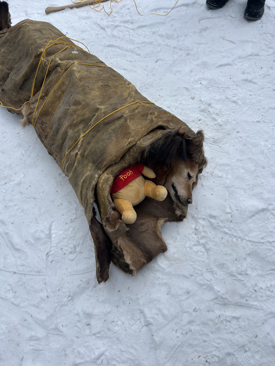 Josh Baer tweet media