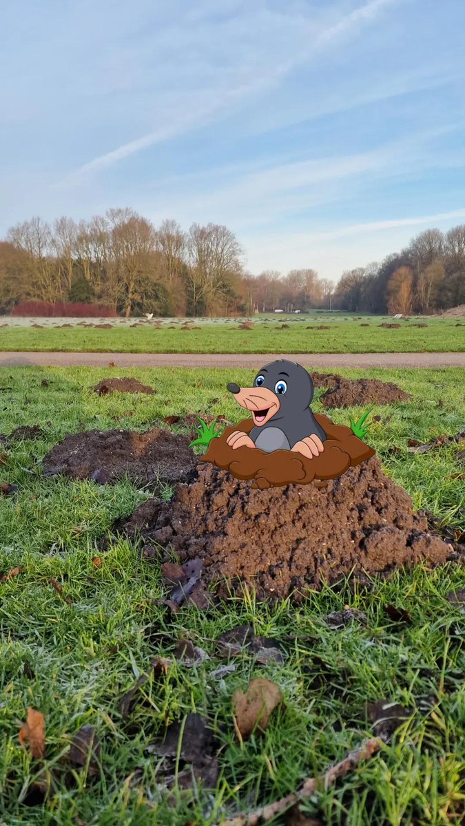 de Natureluur tweet media