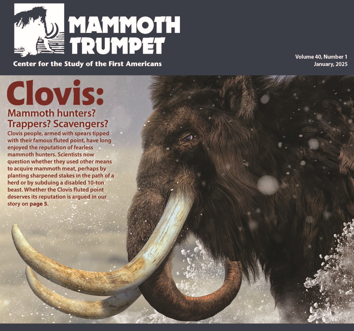 CSFA_TAMU's tweet photo. In the Latest issue of the Mammoth Trumpet, Does the Clovis fluted point deserve its reputation? Could it kill a mammoth? #Archaeology #firstamericans #mammothtrumpet #CSFA #TAMU https://t.co/KdPiio3E5Z