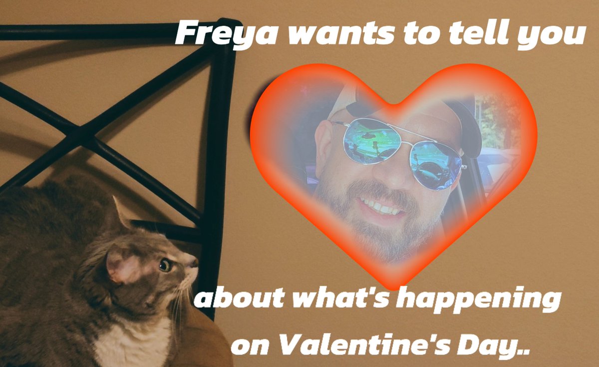 ConfusedDevil tweet media