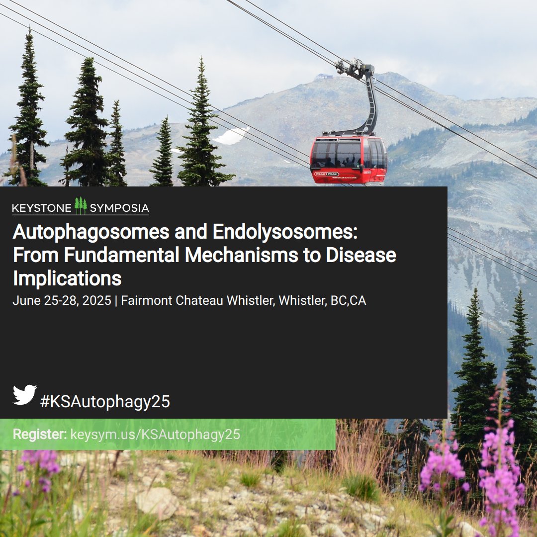 Christie Towers, PhD (@christietowers) on Twitter photo I'm excited for the Autophagy Keystone meeting in June!
**Scholarship Deadline March 27th**
<a href="/KeystoneSymp/">Keystone Symposia</a> #Autophagosomes & #Endolysosomes: Mechanisms to Disease Implications! #Whistler keysym.us/KSAutophagy25 #KSAutophagy25 <a href="/WAutophagy/">Women in Autophagy</a> <a href="/LysosomeJC/">Lysosome Articles</a> <a href="/AutophagyPapers/">Autophagy Papers</a> <a href="/autophagyuk/">AutophagyUK Network</a> I'm excited for the Autophagy Keystone meeting in June!
**Scholarship Deadline March 27th**
<a href="/KeystoneSymp/">Keystone Symposia</a> #Autophagosomes & #Endolysosomes: Mechanisms to Disease Implications! #Whistler keysym.us/KSAutophagy25 #KSAutophagy25 <a href="/WAutophagy/">Women in Autophagy</a> <a href="/LysosomeJC/">Lysosome Articles</a> <a href="/AutophagyPapers/">Autophagy Papers</a> <a href="/autophagyuk/">AutophagyUK Network</a>
