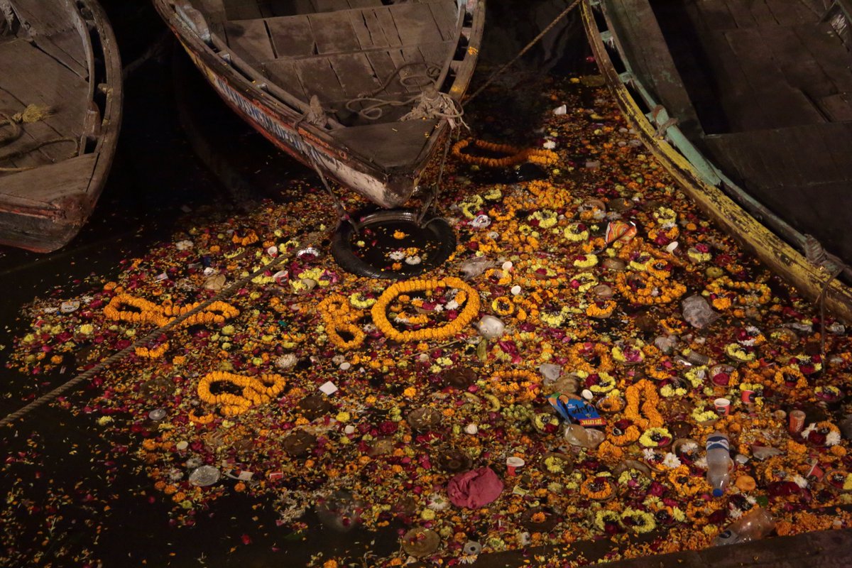 DrDFoster's tweet image. Kashi