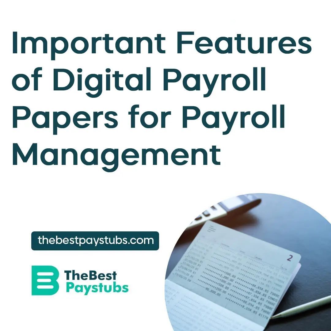 TheBestPaystubs's tweet photo. Digital payroll papers keep payroll management simple and accurate! 🧾 

Learn the key features that make them essential in our latest blog. 

https://t.co/uOfI4YqTNX  

💼 #PayrollManagement #BusinessTips https://t.co/slKDvFxcRr
