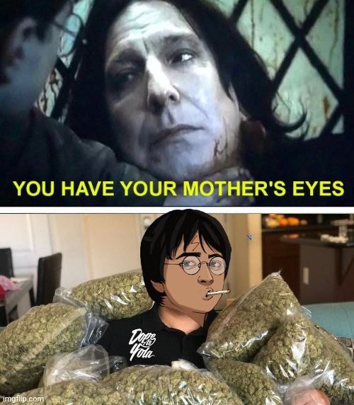 $pot is printing generational wealth

$pot is printing generational wealth

$pot is printing generational wealth

$pot is printing generational wealth