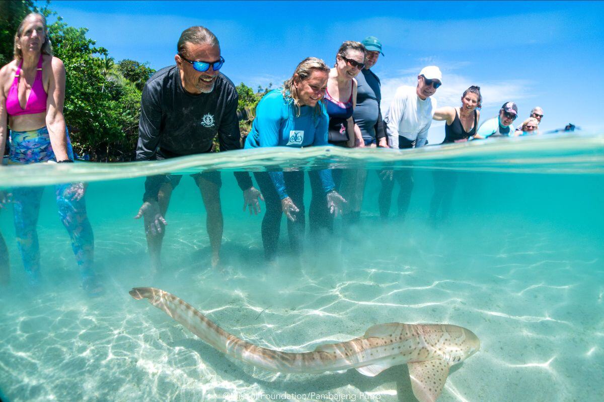 Wildlife Conservation Network tweet media