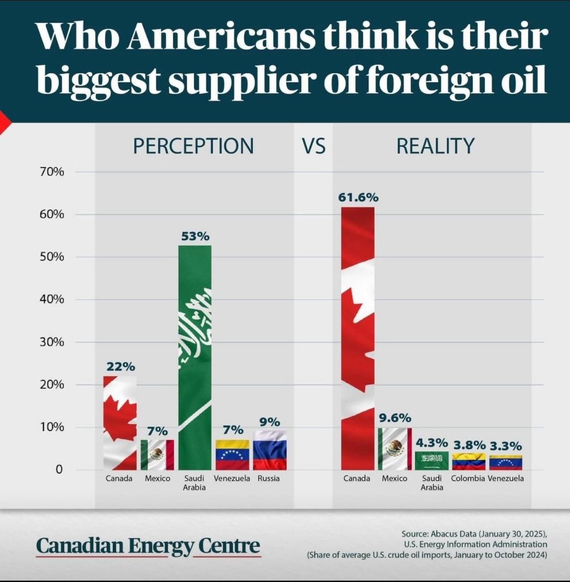 Was die Amerikaner glauben woher ihr importiertes Erdöl kommt vs. Die Realität

#trump #zölle