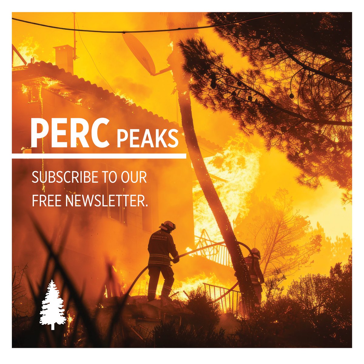 PERCtweets's tweet photo. Connect with us. 🌲

Stay in the loop on groundbreaking conservation work. Subscribe for free and get exclusive updates on the projects making a difference.

Go to https://t.co/HoDVGvA9pc. 

#ConservationInAction #CreativeConservation https://t.co/pRwhY7zMCz