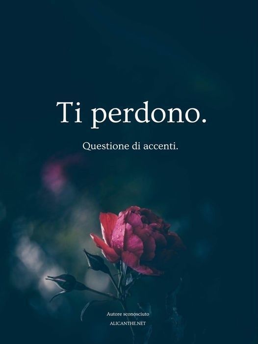 LisiNovella's tweet photo. https://t.co/R3eqTcpXnY