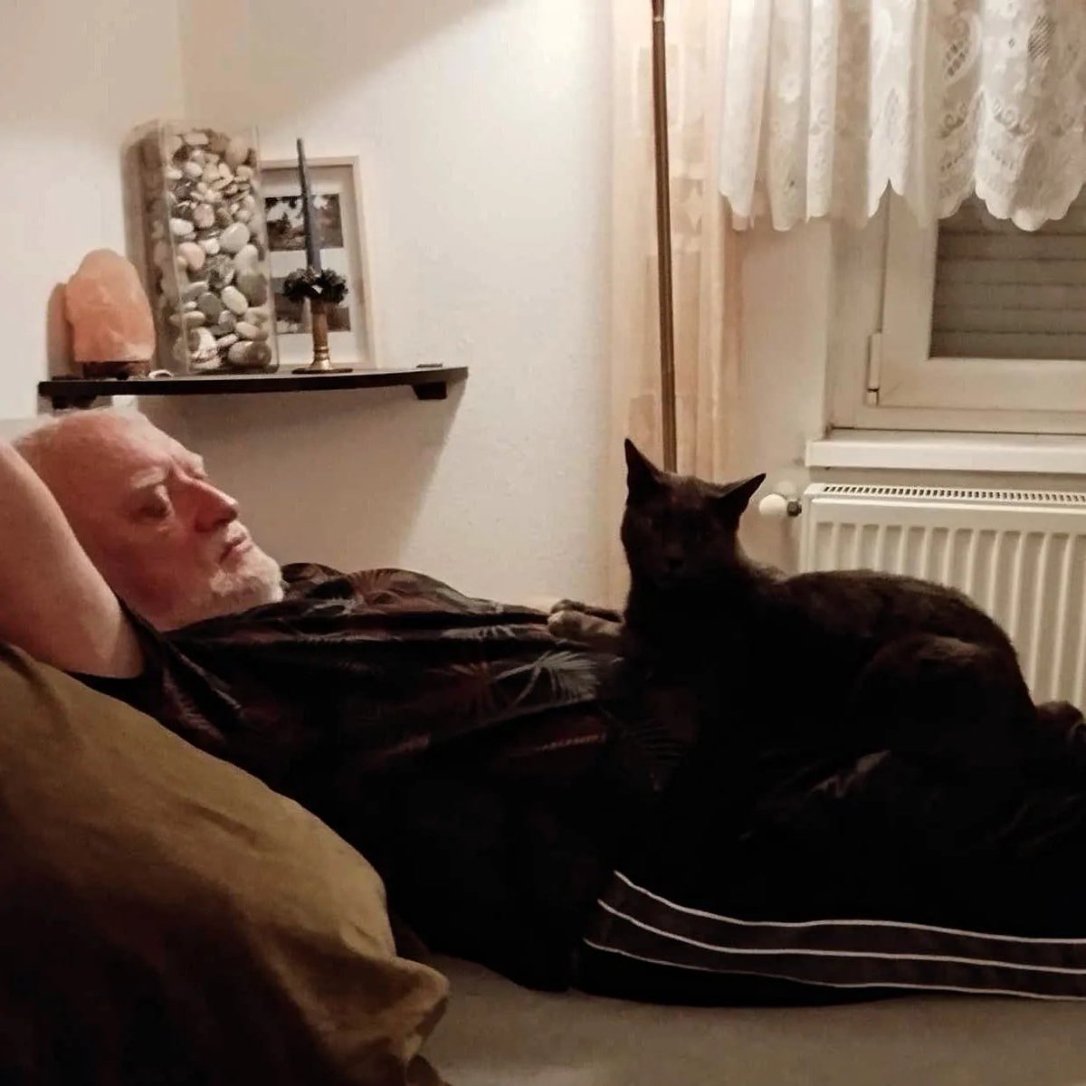 Devofnothing's tweet photo. @pain What is Hide The Pain Harold without his cat Grecko:
FXo6QkDiLAE3KFRwvgui1NucgXY417JieV7b39T2pump
#Pain #Grecko https://t.co/MPeS1GWAWI