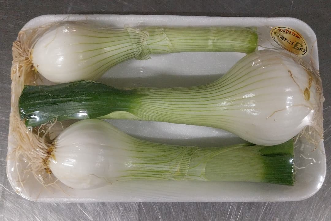 🤔 ¿Sabías que en #García disponemos de una amplia gama de hortalizas embandejadas para cubrir las necesidades de clientes que necesitan este tipo de embalajes? 

#nosadaptamos
#garcibó
#frutasyverdurasgarcia 
#deorigen 
#somossibaritas