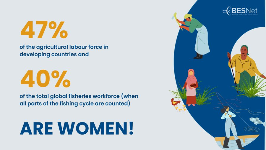 UN Biodiversity tweet media