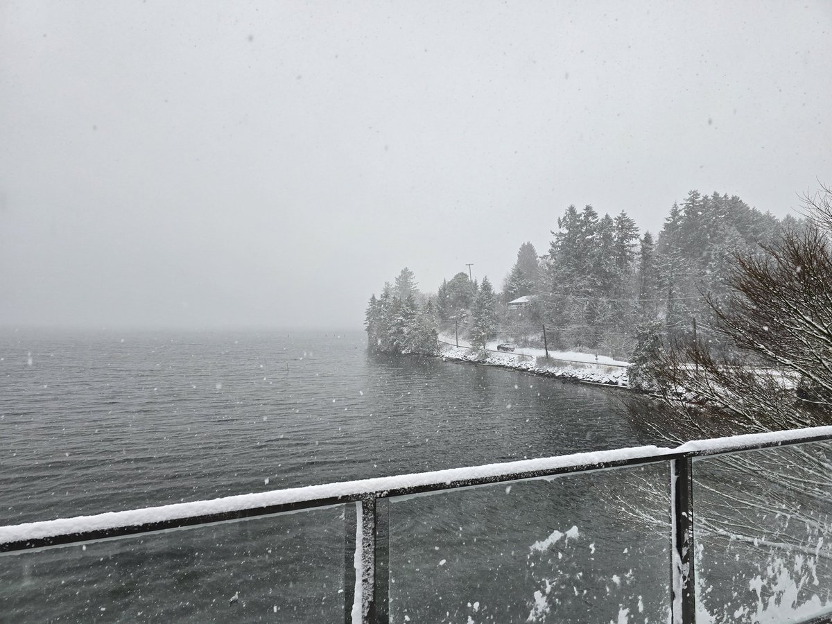 cdnfish's tweet photo. Just over 5 cm and visibility down to 500 m in #LadysmithBC / #Saltair area #bcstorm #bcsnow https://t.co/f9GWr7p3rN