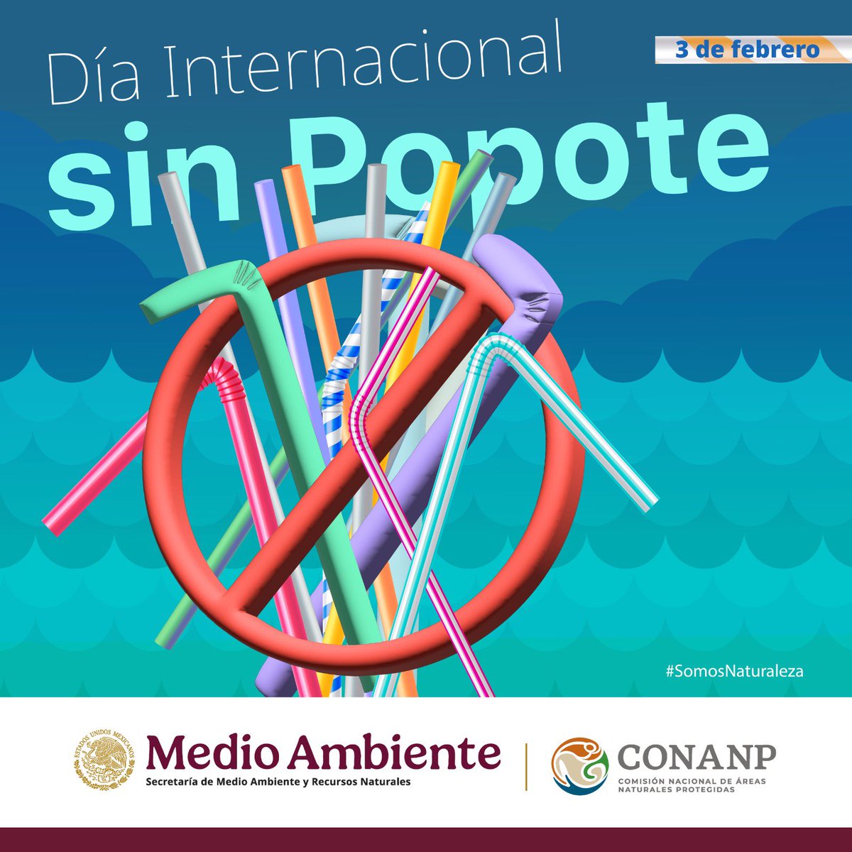 Iesima_Inge's tweet photo. #FelizLunes
Hoy es el Día Internacional sin #Popote, una fecha para crear conciencia sobre el impacto que este pequeño objeto de plástico ocasiona en los ecosistemas marinos y costeros. 🥤❌

#SabíasQue tardan 100 años en degradarse. 😿

Evitemos su uso. #SomosNaturaleza 🐢🦀🐙🏝️ https://t.co/WzKBKjGREW