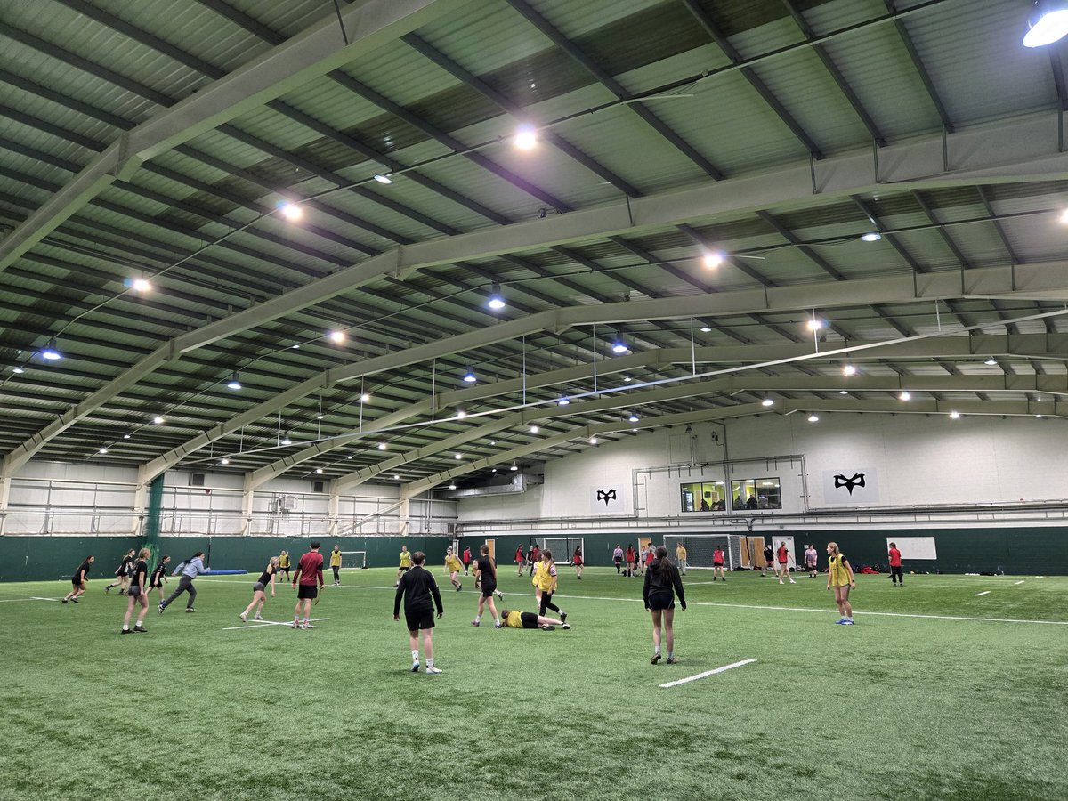 Sarah Lewis tweet media