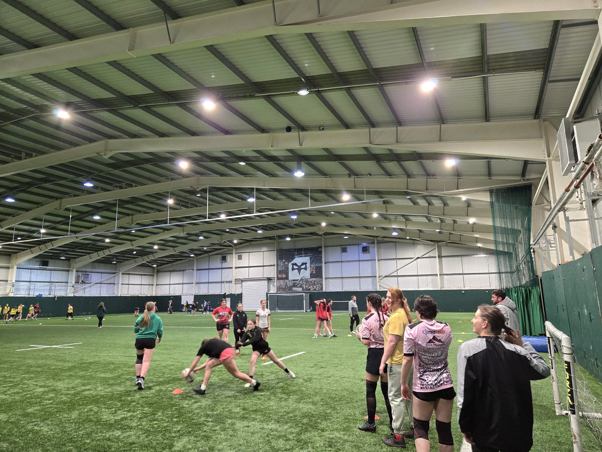 Sarah Lewis tweet media