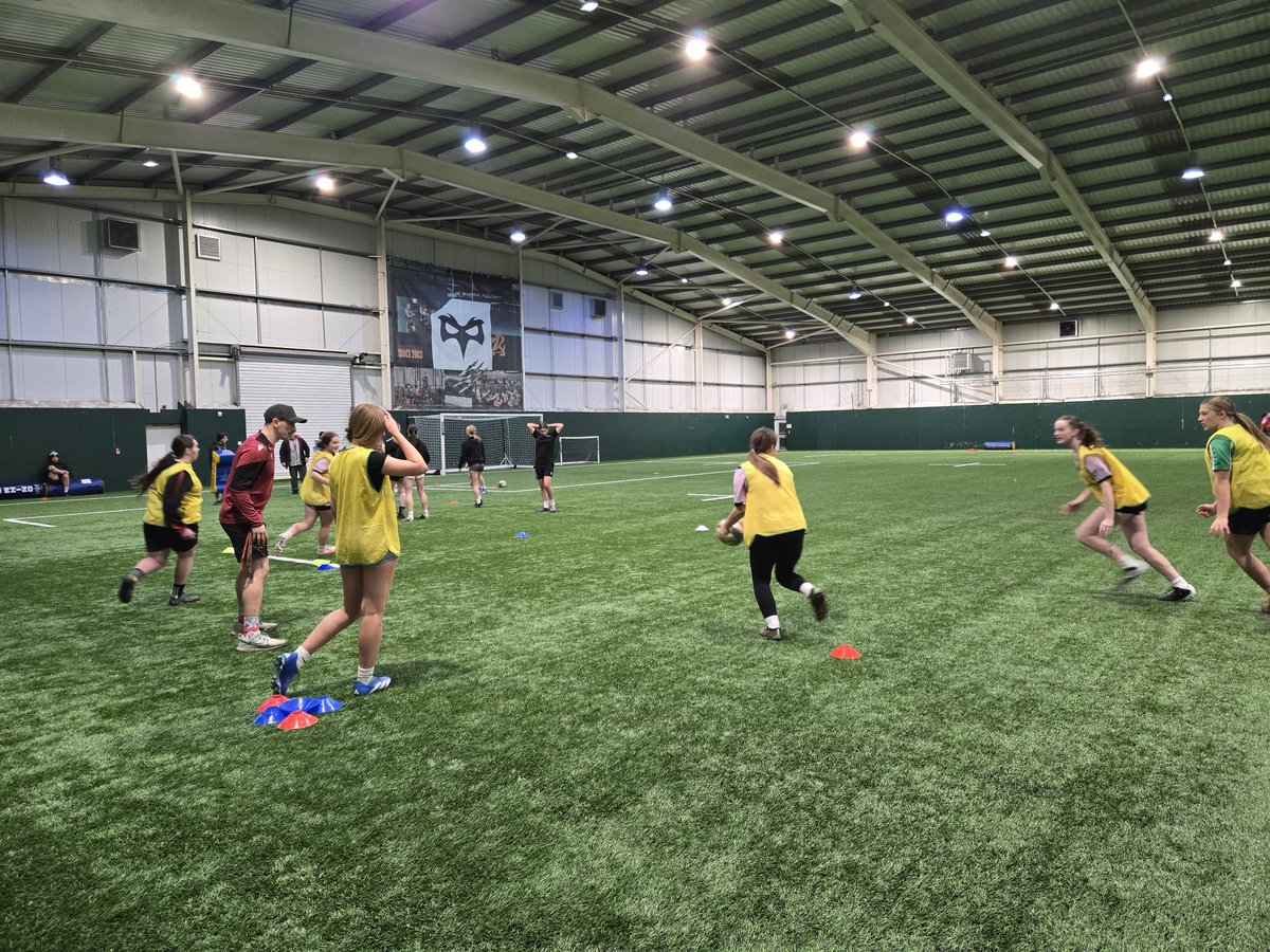 Sarah Lewis tweet media