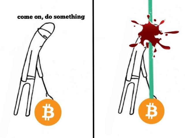 fidellisfonte's tweet photo. Não mecha com THE BEACH COIN
$BTC https://t.co/cjinpeofqV