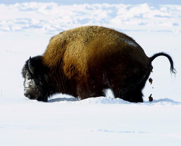 Some days it's just the...